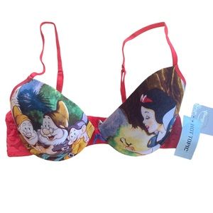 Hot topic x Disney— Snow White Bra 🍎  Disney princess